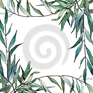 Watercolor green willow branches. Leaf plant botanical garden floral foliage. Frame border ornament square.