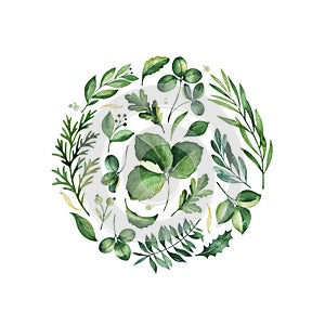 Watercolor Greenery arrangement with branches,berry,strawberry and clover leaves