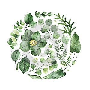 Watercolor Greenery arrangement with leaves,fern,branches,berry,succulent