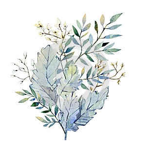 Watercolor greenery bouquet lunaria branches and twigs with flowers. Botanical floral, winter bouquet, Christmas floral for design