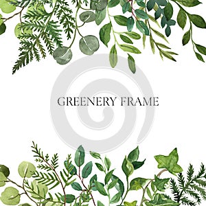 Watercolor botanical frame with lush greenery, herbs and green leaves on white background. Modern foliage frame. Floral invitation photo