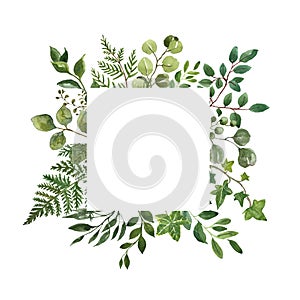 Watercolor greenery foliage frame on white background. Fresh lush herbs, leaves, green branches frame. Summer floral wreath