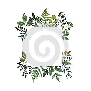 Watercolor greenery frame. Forest herbs, green leaves, fresh lush foliage border. Beautiful floral background in rustic style