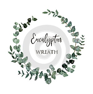 Watercolor greenery frame illustration. Green eucalyptus foliage, herbal barnches wreath