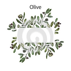 Watercolor greenery olives frame illustration. Hand painted branches, leaves, foliage of olive tree on white background with