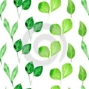 Watercolor greenery. Seamless pattern with Green leaves and branch on white