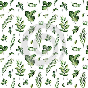 Watercolor Greenery seamless texture with fern,herb,leaves,branches.