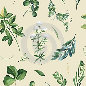 Watercolor Greenery seamless texture with fern,herb,leaves,branches.