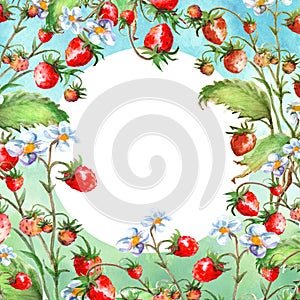 Watercolor greeting card, invitation with a plant strawberry. Blossoming bush with a red berry and flower.