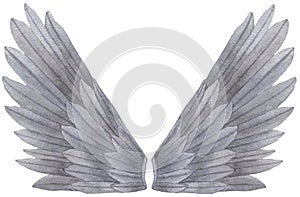 Watercolor grey Angel Wing illustration. Hand painted wing with grey feathers for prints, banners