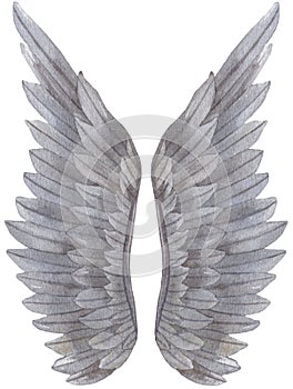 Watercolor grey Angel Wing illustration. Hand painted wing with grey feathers for prints, banners