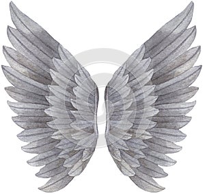 Watercolor grey Angel Wing illustration. Hand painted wing with grey feathers for prints, banners