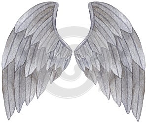 Watercolor grey Angel Wing illustration. Hand painted wing with grey feathers for prints, banners