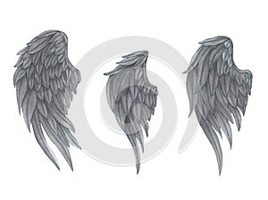 Watercolor grey Angel Wing illustration. Hand painted wing with grey feathers for prints, banners