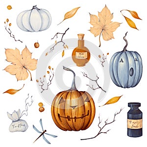 Watercolor Halloween set in cartoon style with illustration of pumpkin, poison in a flask, branch, autumn leaves