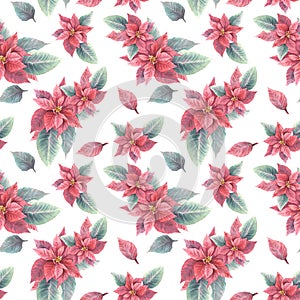 Watercolor hand draw red poinsettia flowers and leaves seamless pattern. Christmas or New Year decor