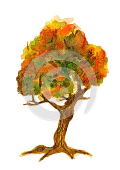 Watercolor hand drawing of autumn tree on paper, isolated image