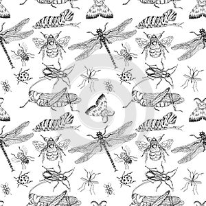 Watercolor hand drawn artistic colorful Insects  collection  seamless pattern