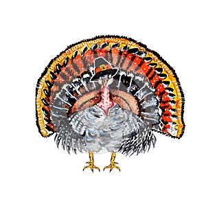 Watercolor hand drawn artistic colorful retro turkey bird with hat isolated on white background