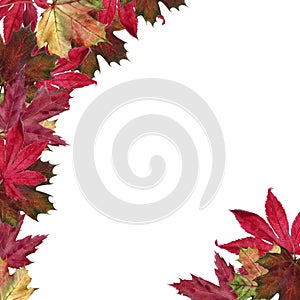 Watercolor hand drawn autumn leaves frame background.