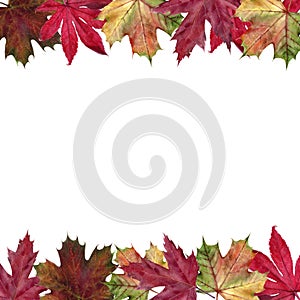 Watercolor hand drawn autumn leaves frame background.