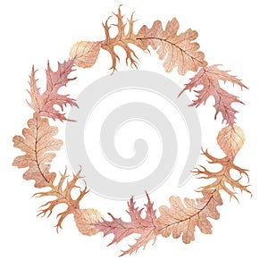 Watercolor hand drawn autumn wreath with illustration of red, brown and yellow oak and maple leaves. Vintage collection