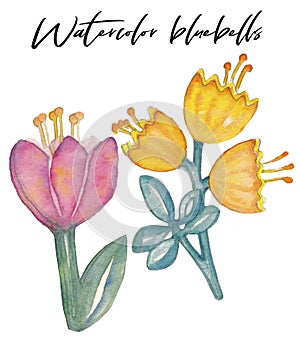 Watercolor hand drawn bluebells clip art, drawn blubells, simple flowers set, watercolor elements, different flowers