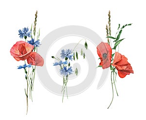 Watercolor hand drawn bouquet of poppies, cornflowers and herbs