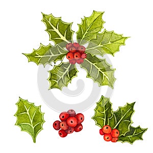 Watercolor Christmas and New Year symbol decorative elements. Holly twig set with leaves and red berry