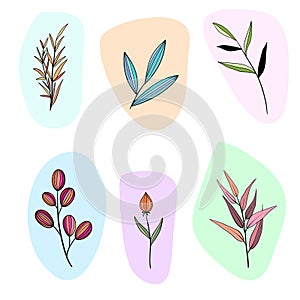 Watercolor hand drawn colorful plants. Abstract background. Natural wallpaper