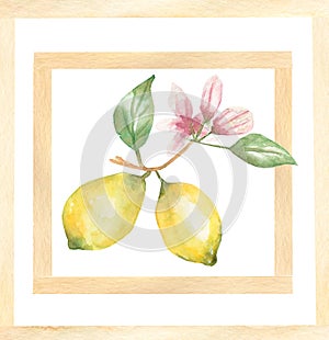 Watercolor hand drawn Design for ceramic tiles with lemon branch with flowers, majolica, watercolor ornament