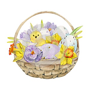 Watercolor hand drawn Easter celebration clipart. Basket with painted eggs, grass, bunnies, spring flowers. Isolated on