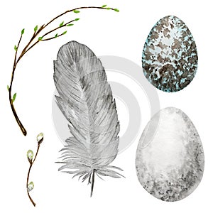 Watercolor hand drawn Easter eggs, bird Bright feather, willow tree branch with green leaves set. Illustration Design