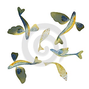 Watercolor hand-drawn fishes pattern on white