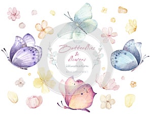 Watercolor hand drawn floral set with illustration of colorful exotic butterflies, flowers, dots. Pink, blue, yellow