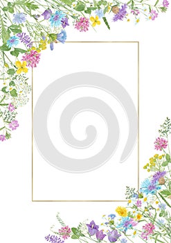 Watercolor hand drawn floral summer composition with wild meadow flowers clover, cornflower, tansy, cow vetch, chamomile, chicor