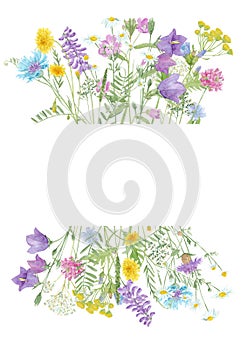 Watercolor hand drawn floral summer frame with copy space and wild meadow flowers and grass isolated on white background