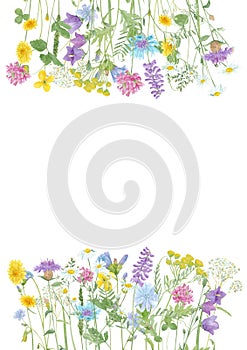 Watercolor hand drawn floral summer frame with copy space and wild meadow flowers