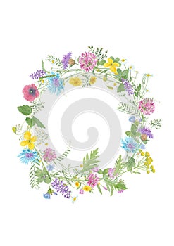 Watercolor hand drawn floral wreath with wild meadow flowers and grass
