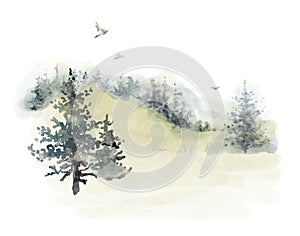 Watercolor hand drawn forest delicate illustration of coniferous trees spruce, pine, fir, foggy landscapes, silhouette