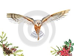 Watercolor hand-drawn forest flying owl isolated on a white background