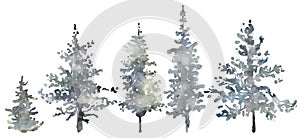 Watercolor hand drawn forest set with delicate illustration of coniferous trees spruce, fir, pine, foggy landscapes