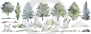 Watercolor hand drawn forest set with delicate illustration of different types of deciduous, coniferous trees, spruce