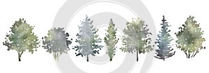 Watercolor hand drawn forest set with delicate illustration of different types of deciduous and coniferous trees, spruce