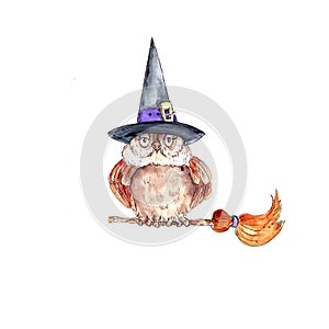 Watercolor hand drawn funny witch owl  illustration isolated on white background