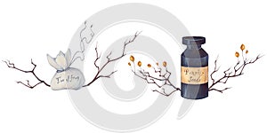 Watercolor hand drawn Halloween illustration with poison in a flask, bag with toe of frog, pumpkin seeds, branch, autumn
