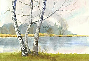 Watercolor hand drawn illustration birches in autumn, a lake and distant trees