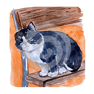 Watercolor hand drawn illustration with black and white cat sitting on a bench on the red aquarelle background.