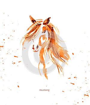 Watercolor hand drawn illustration of cute horse.