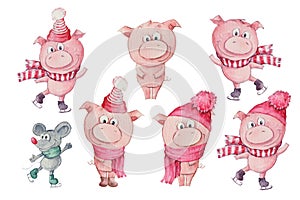 Watercolor hand drawn illustration of cute three pigs isolated on white background.